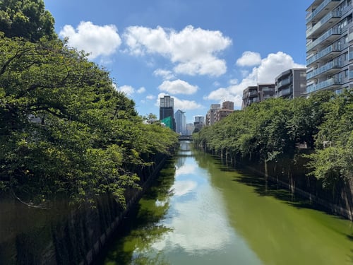 目黒川